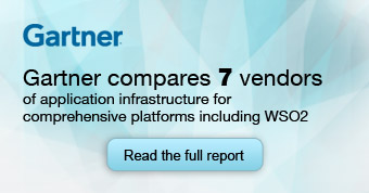 Gartner Compares Vendors of Comprehensive Application Infrastructure Suites