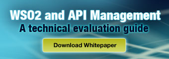 WSO2 and API Management - A Technical Evaluation Guide