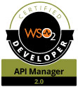 API
