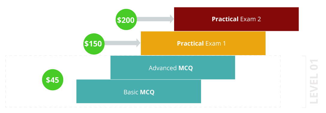 exam-structure-IS-diagram