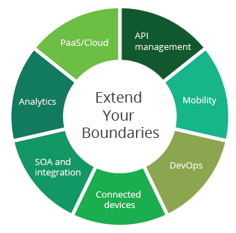 extend-your-boundaries-figure-03